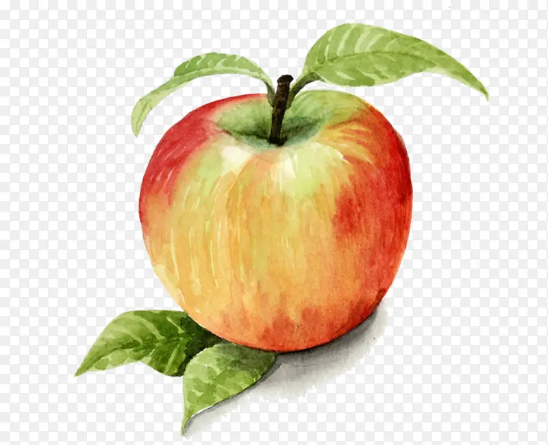 �ֻ�ˮ��-������