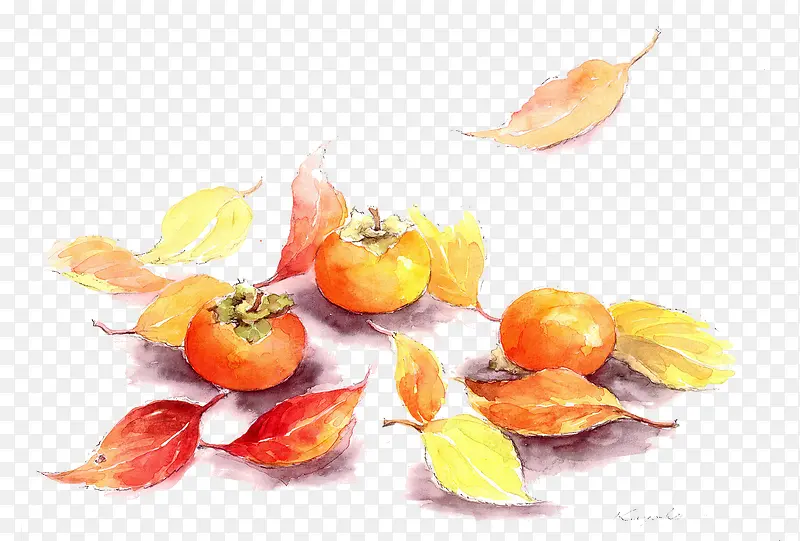 �ֻ�ˮ��-������