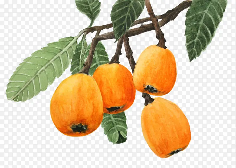 �ֻ�ˮ��-������