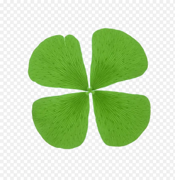 ��Ҷ���ز�-������