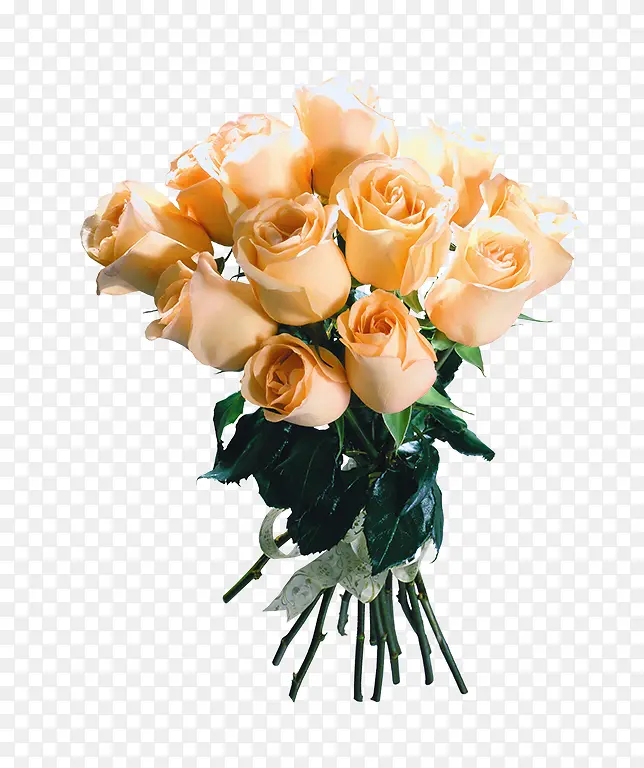 ��ɫ���»���װ��ͼ��-������