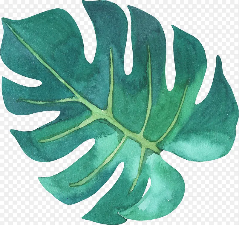 �ֻ���ɫ��Ҷ-������