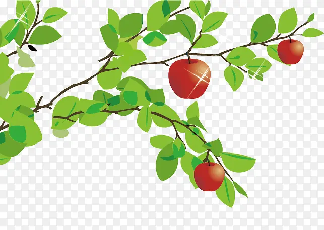 ƻ�����ز�-������