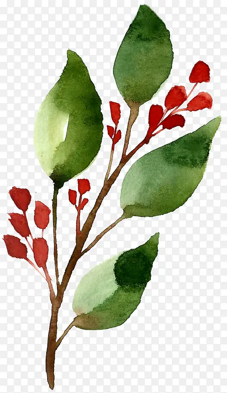 ��֦-������