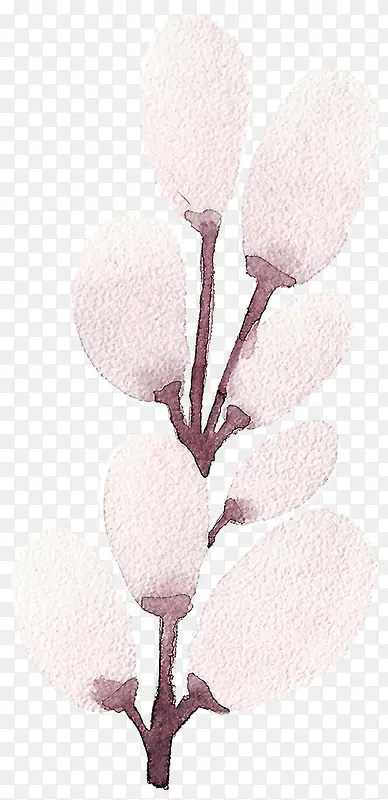 ��֦-������