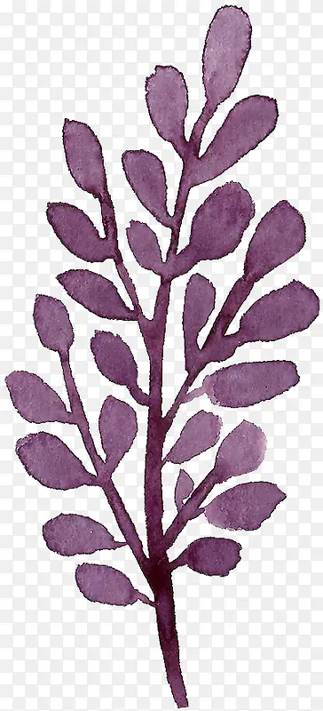 ��֦-������