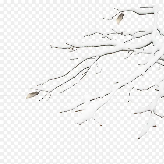 ������֦-������