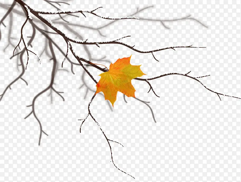 ����װ����֦-������