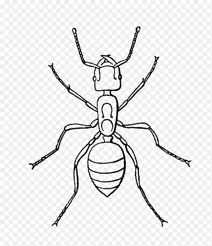 �ֻ濨ͨ��������-������