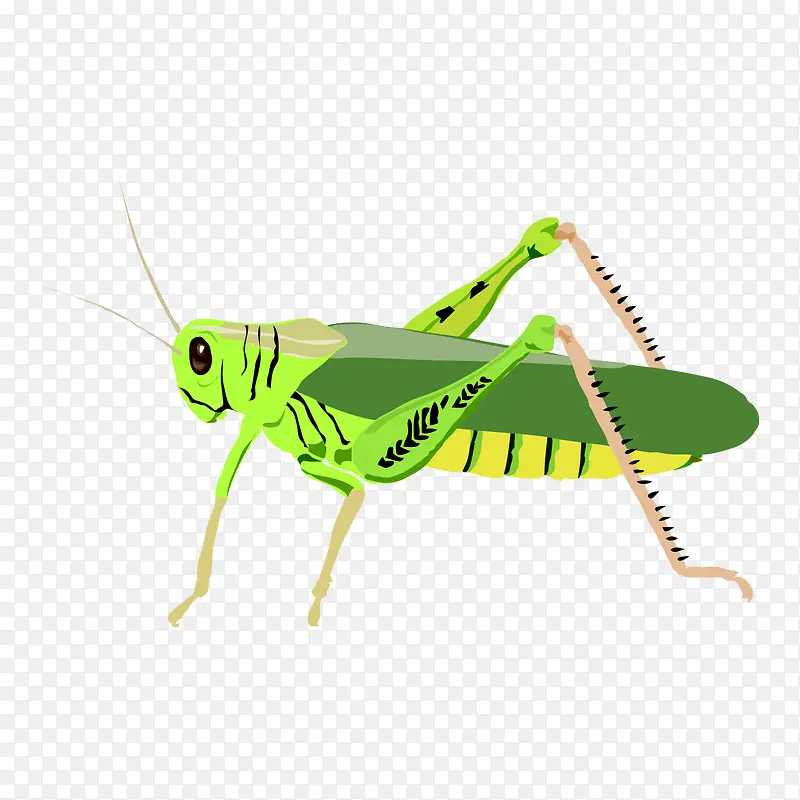 �ȳ�-������