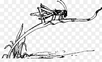 �����ز�-������