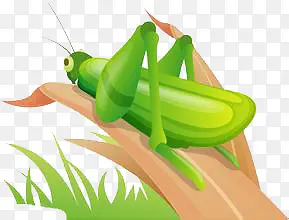 �����ز�-������