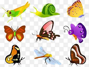 �����ز�-������