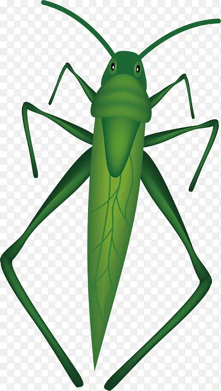 ��ɫ�ȳ�ʸ��ͼ-������