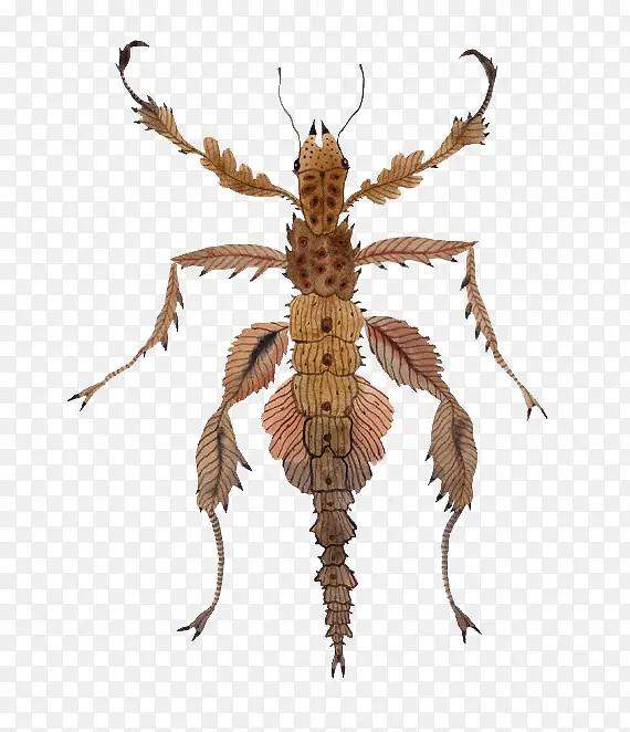 ��ͨ��������-������