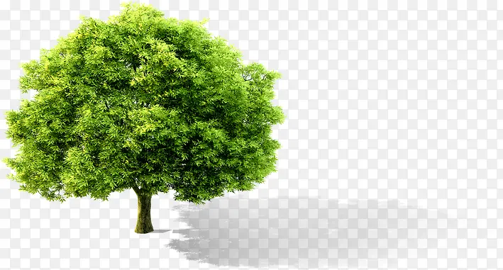 ����-������