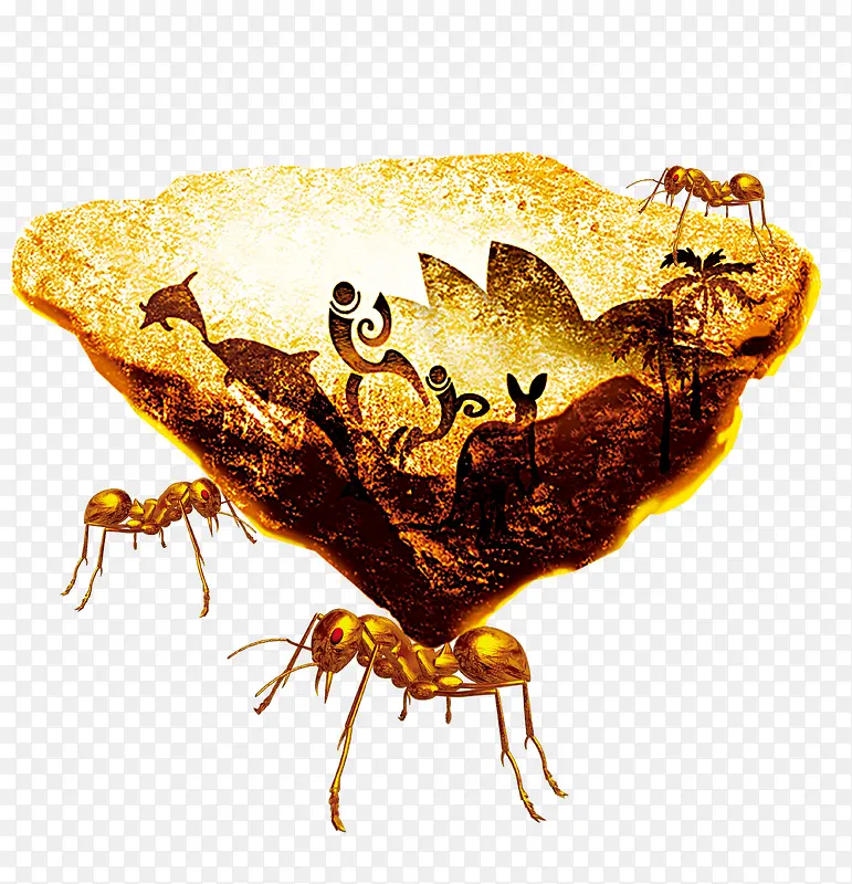 ���Ͼ���-������