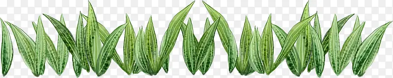 �Ӳݴ���-������