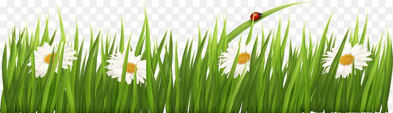 С�ݴ���-������