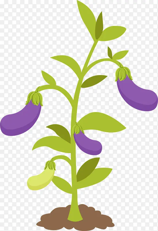 ��ɫ��ͨ����-������