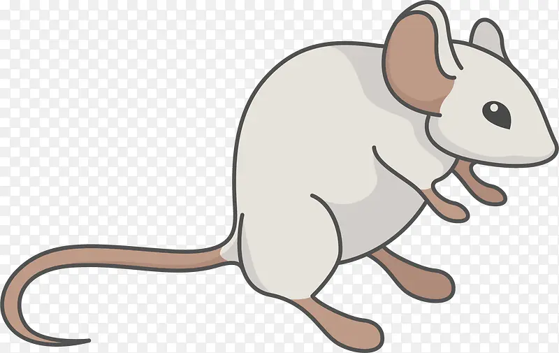 ��ͨ����PNG����-������