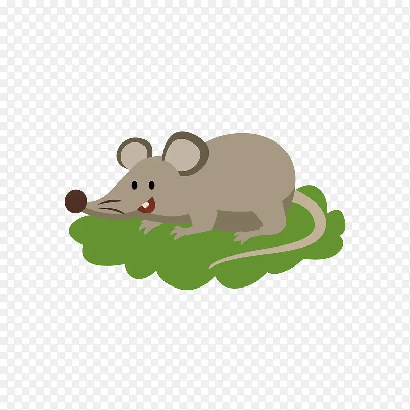 ��ͨ����PNG����-������