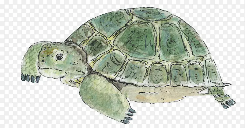 �ֻ���ɫ��ͨ�ڹ�-������