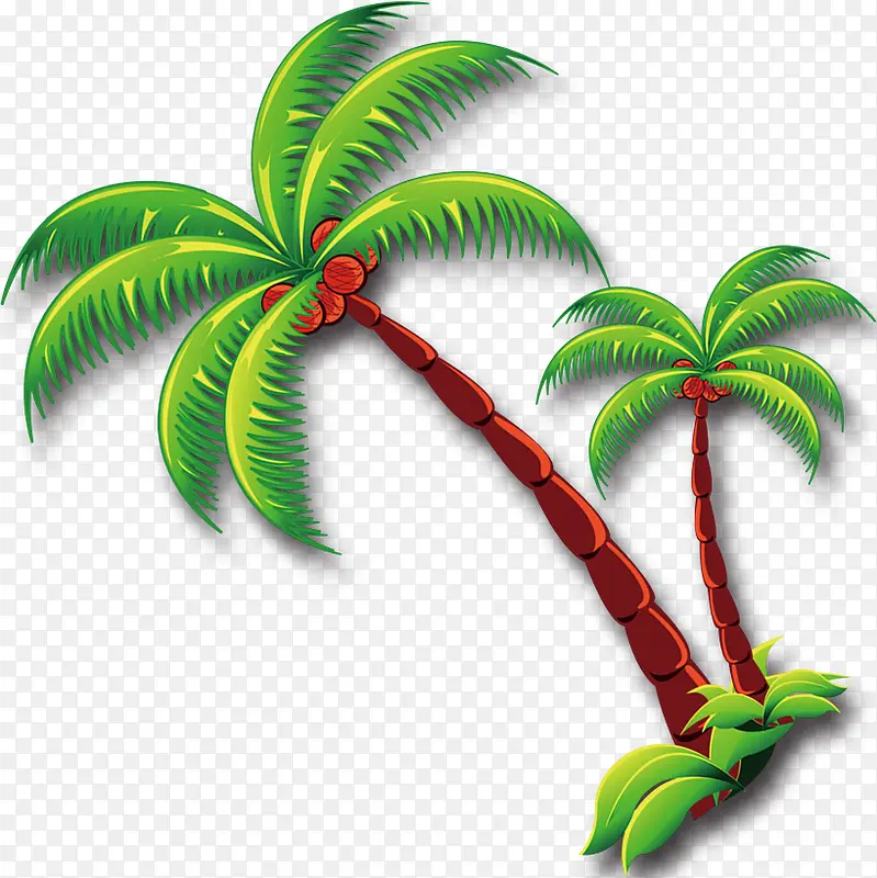 ��ͨҬ��-������