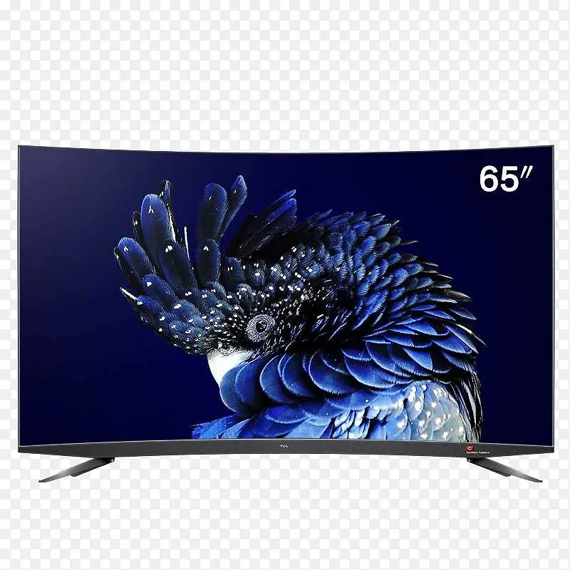 65��������ӻ�-������