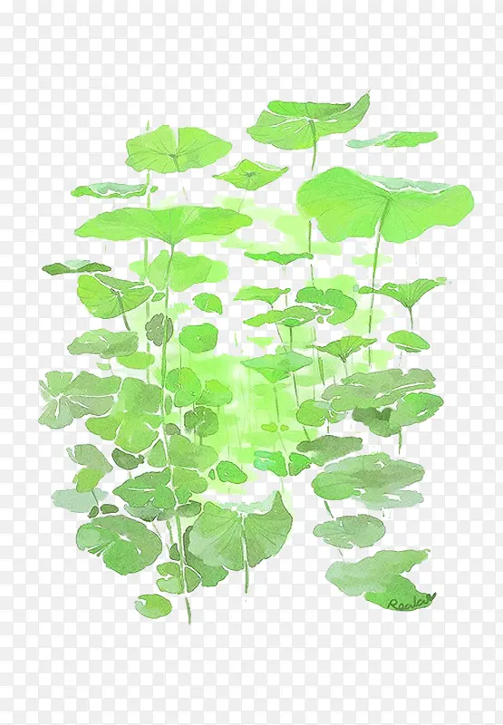 ˮ�ʺ�Ҷ-������