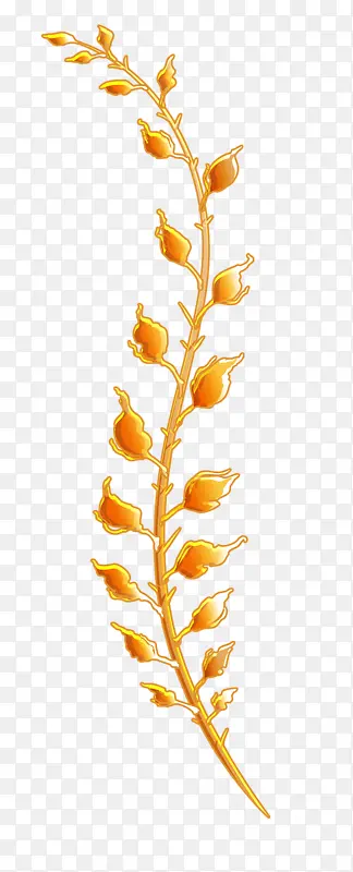 ˮ�ʳ�ɫ��֦-������