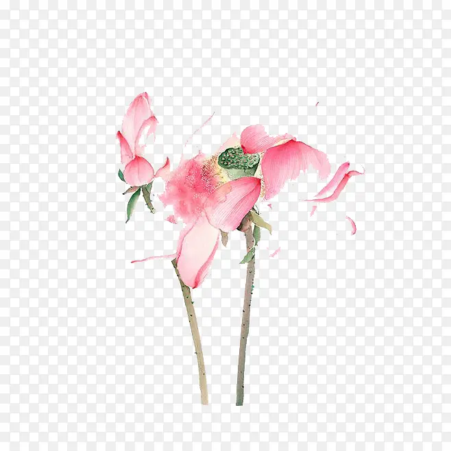 ˮ�ʺɻ�-������