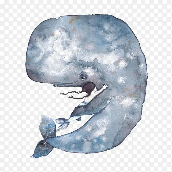 ˮ�ʾ���-������