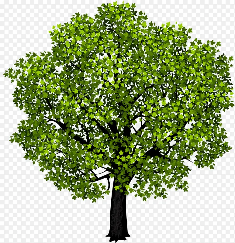 �ߴ����-������