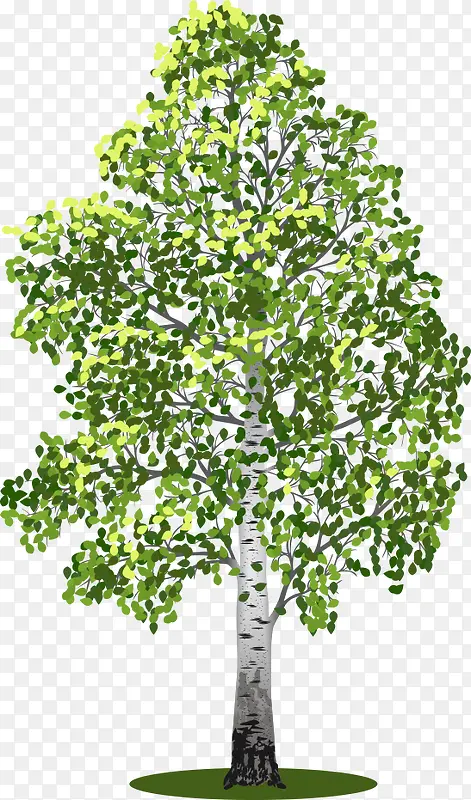 ֦��Ҷï��ʸ����-������