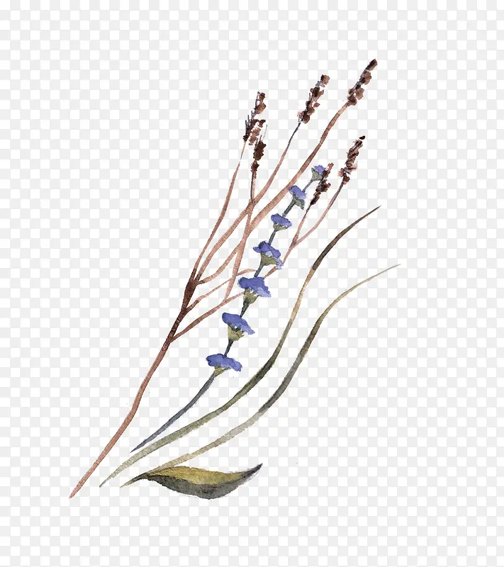 �ֻ�ˮ����֦֦Ҷ-������