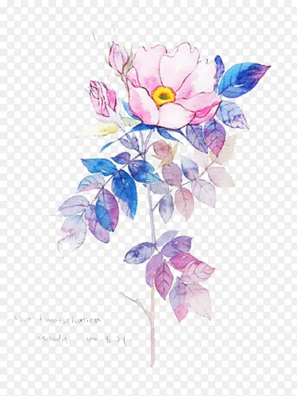 ʸ��ˮ�ʻ���-������