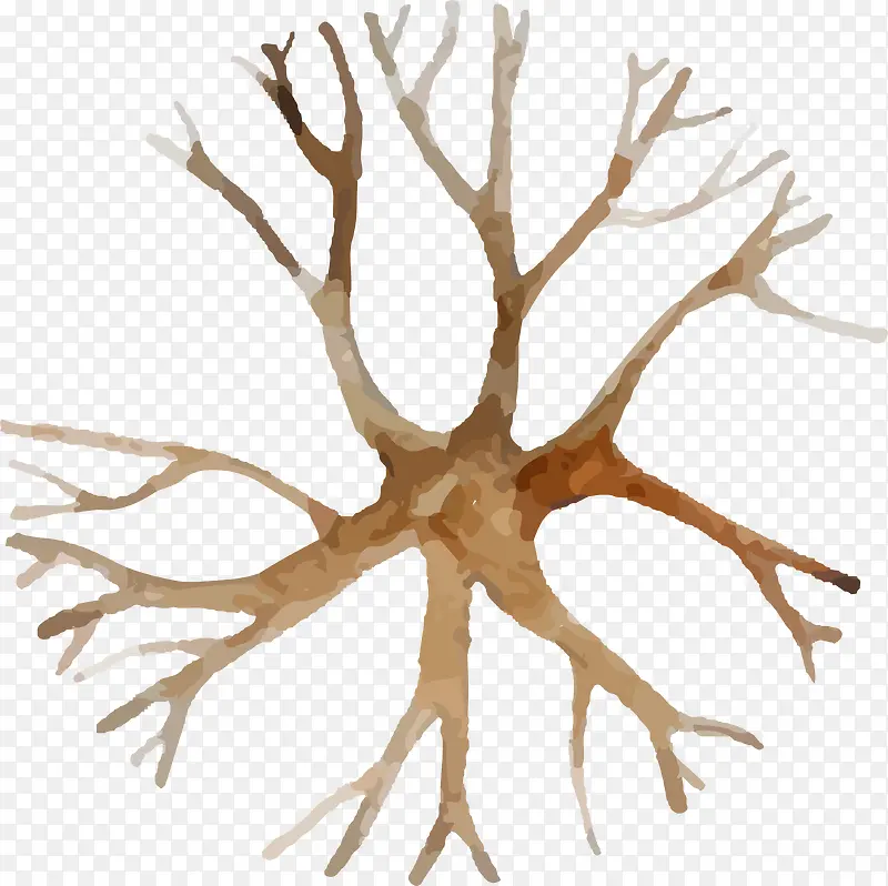 ˮ����֦���-������