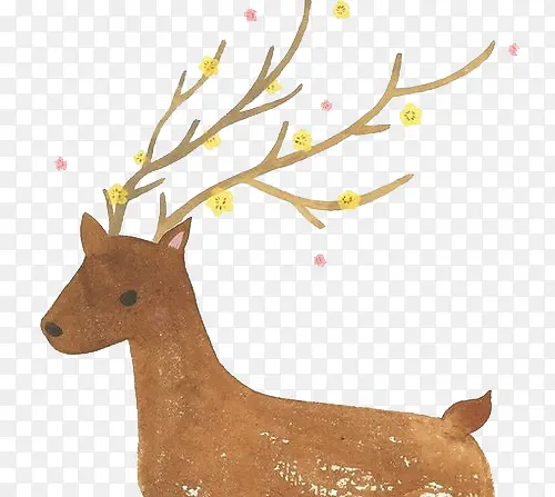 ˮ��С¹-������