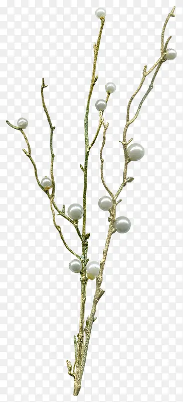 ϸ֦����ز�-������