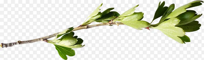 ֦��װ���ز�-������