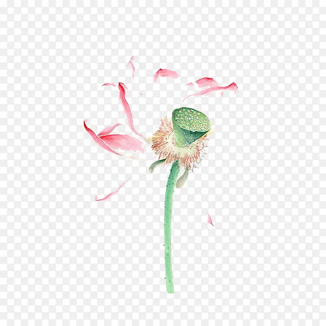 ˮ�ʺɻ�-������