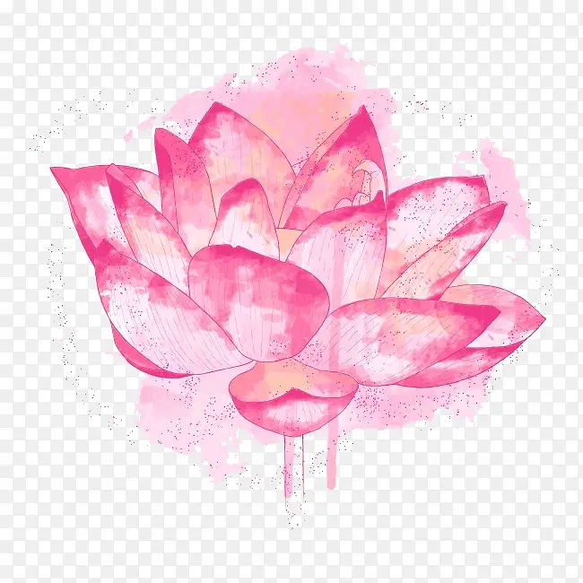 ��ɫˮ�ʺɻ�-������