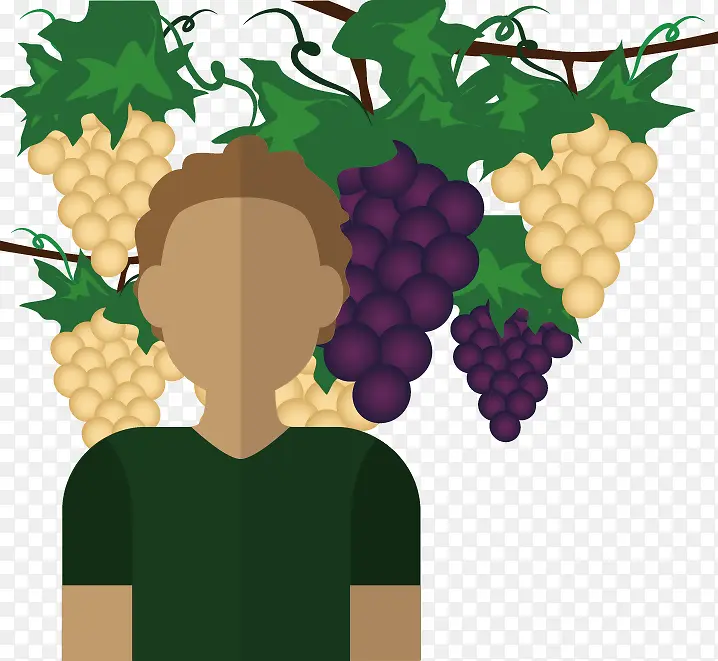 ��ֲˮ����-������