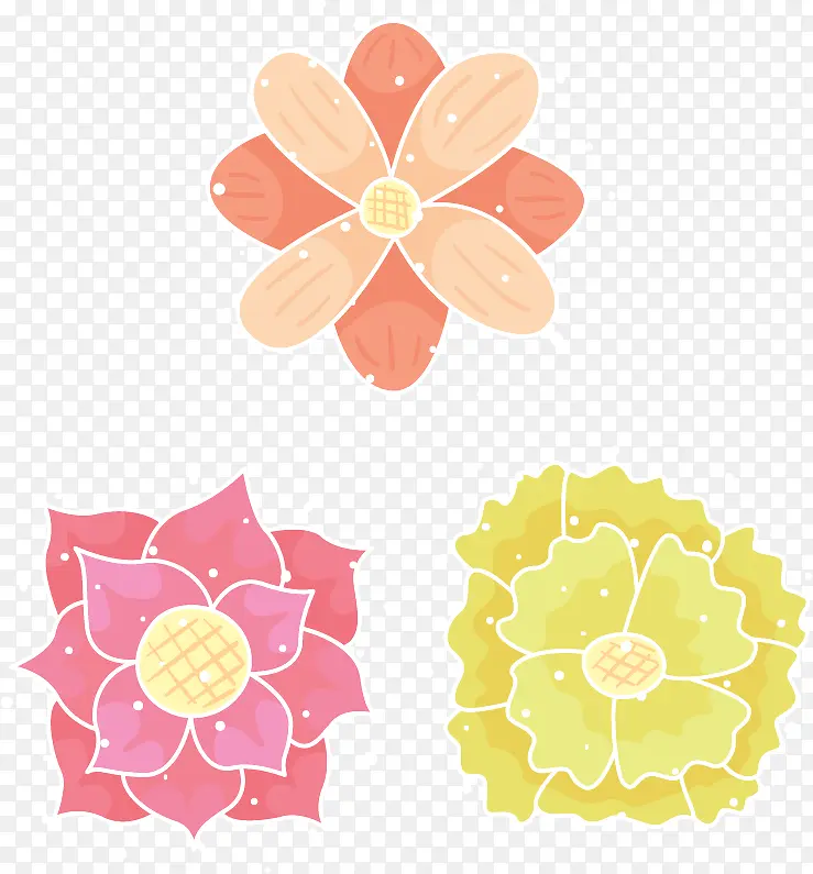 ��ʵ������������-������