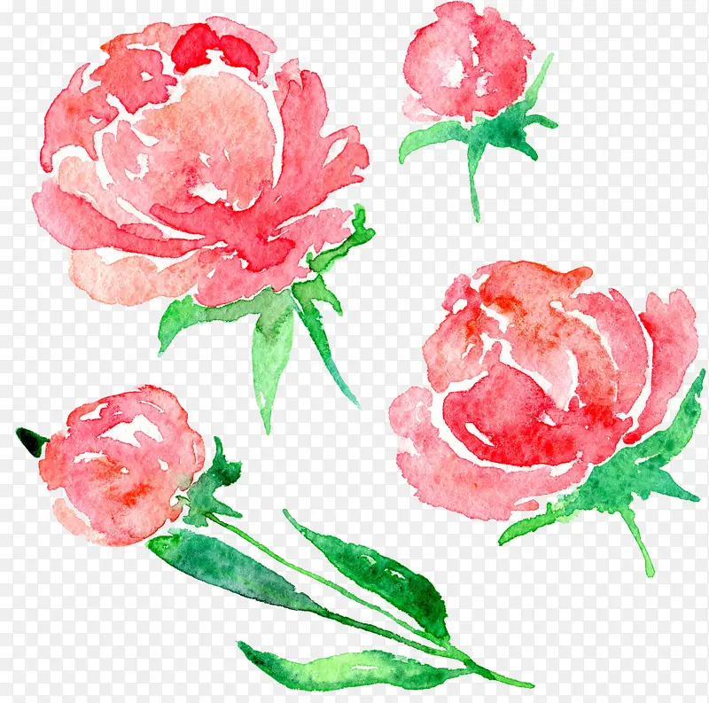 ˮ�ʻ���-������