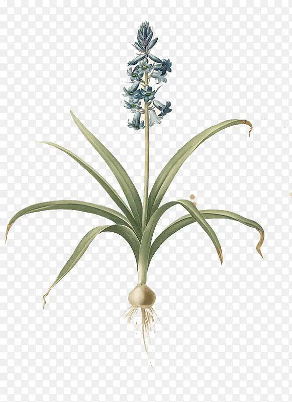 ˮ���ֻ�����-������