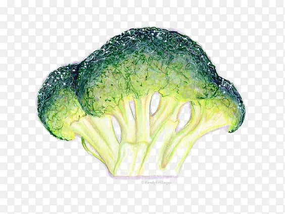 ������-������