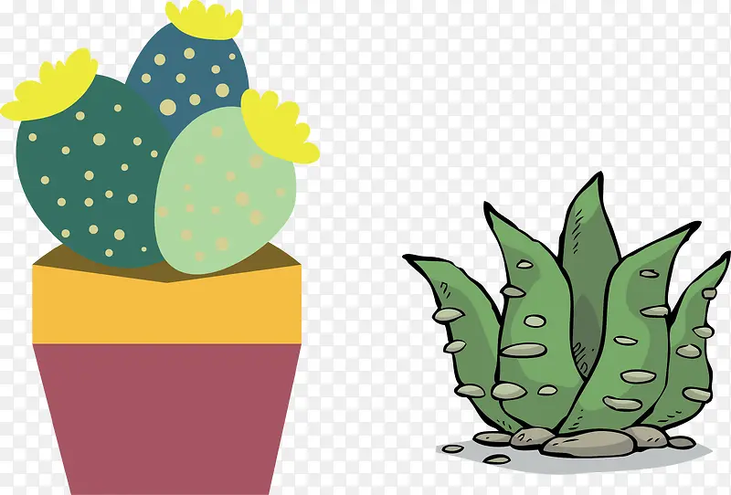 ֲ�����˲�-������