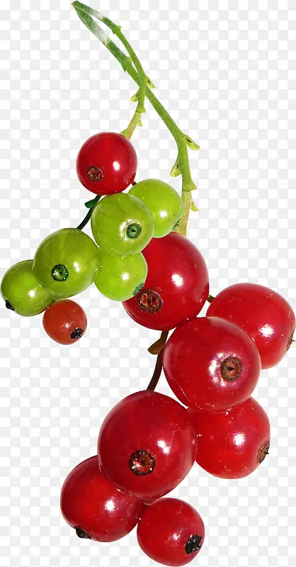 3dˮ��ͼ��-������